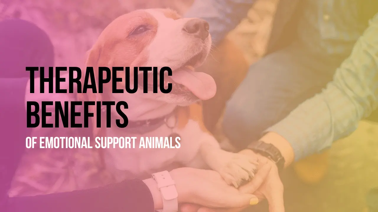 Benefits Of Emotional Support Animals